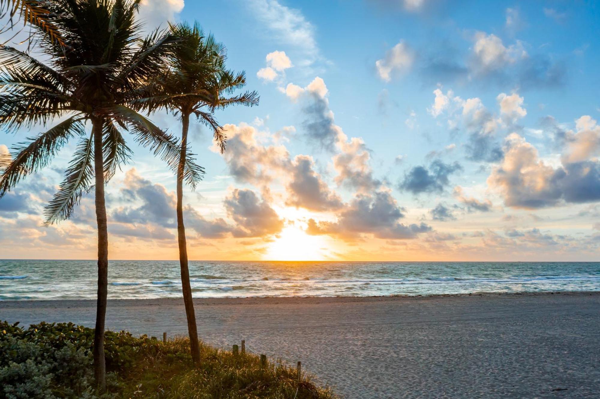 Enchanted Isle Hollywood Beach Resort Eksteriør bilde