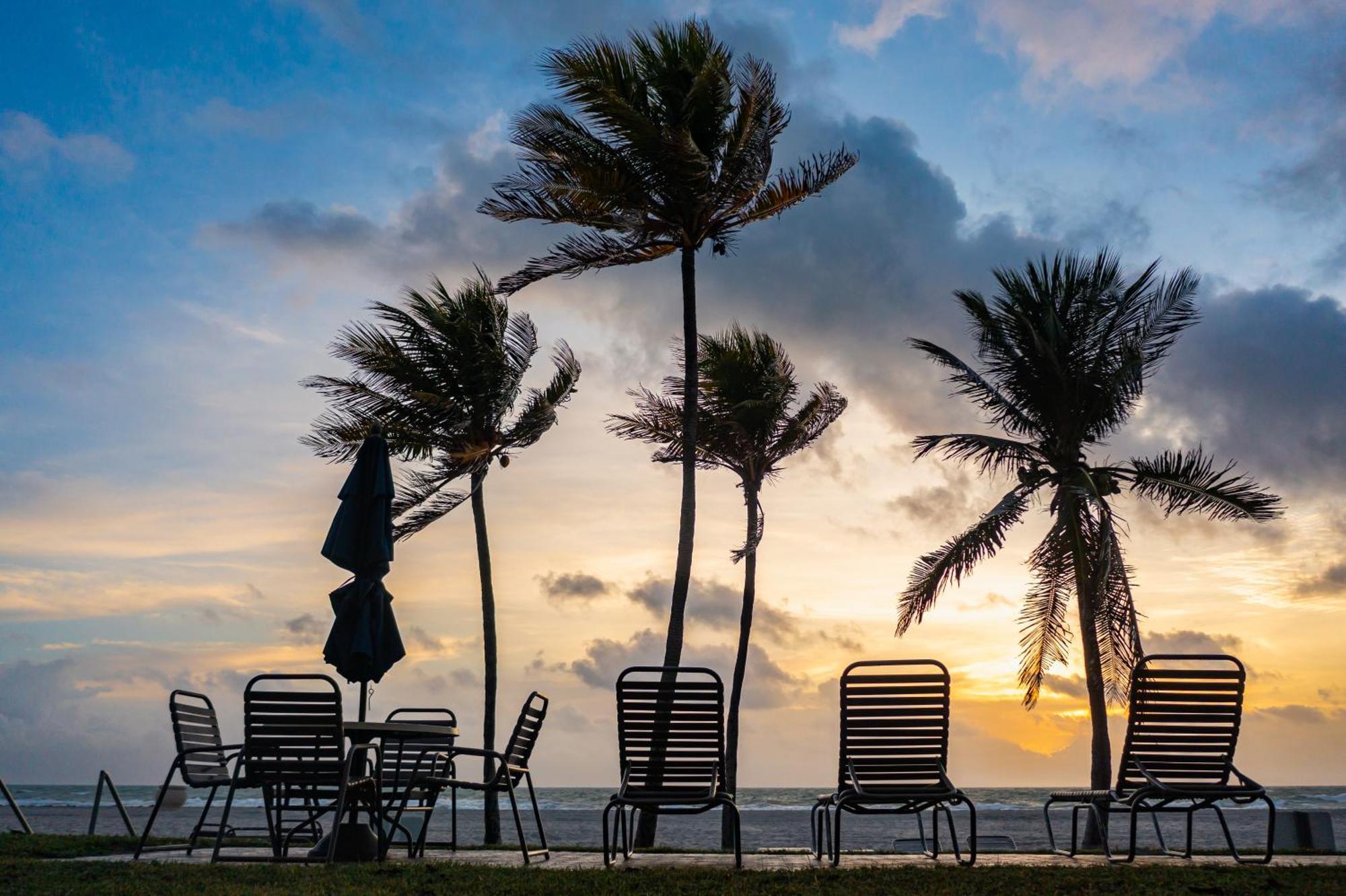 Enchanted Isle Hollywood Beach Resort Eksteriør bilde
