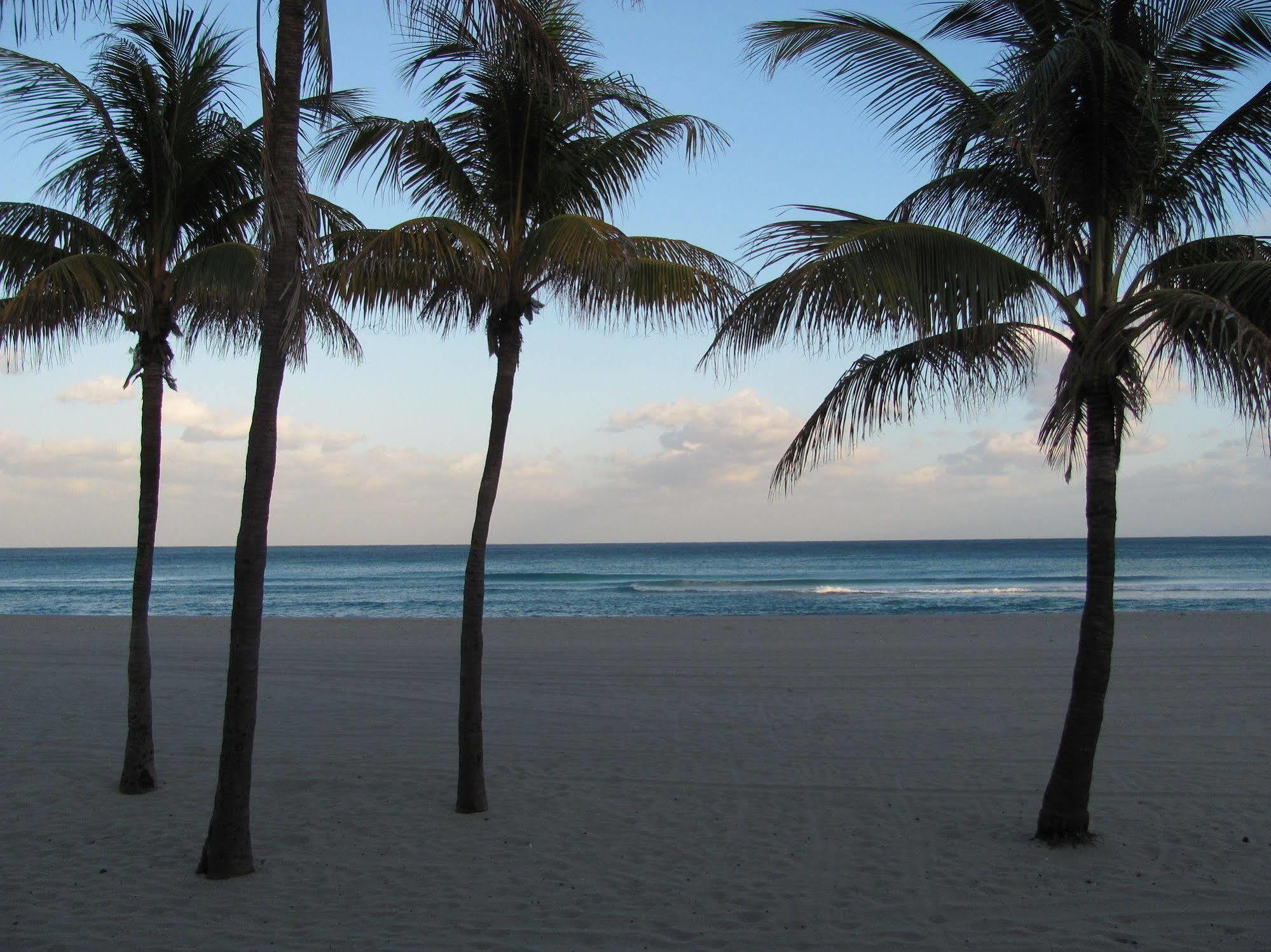 Enchanted Isle Hollywood Beach Resort Eksteriør bilde